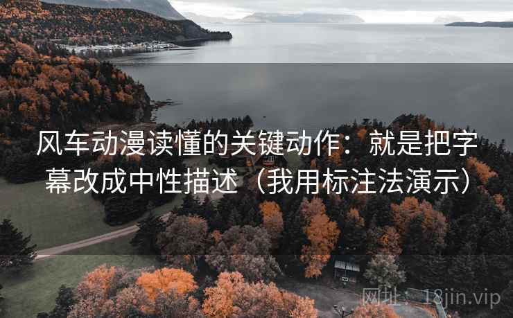 风车动漫读懂的关键动作：就是把字幕改成中性描述（我用标注法演示）
